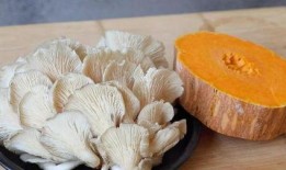 蘑菇免费吃瓜,共享绿色生活新风尚